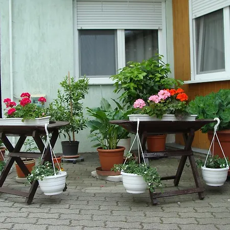 Guest house Hugi Panzio *